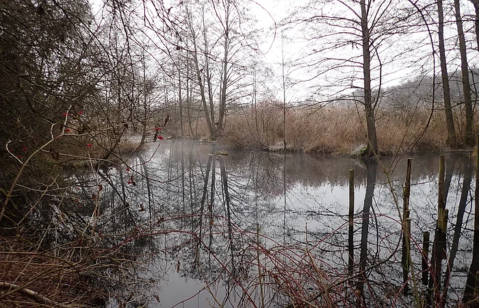 Gleßbrunnen bei Wolkertshofen