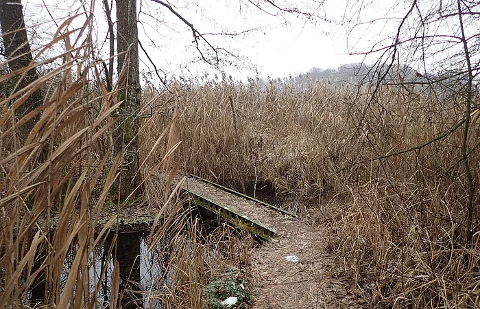 Gleßbrunnen bei Wolkertshofen